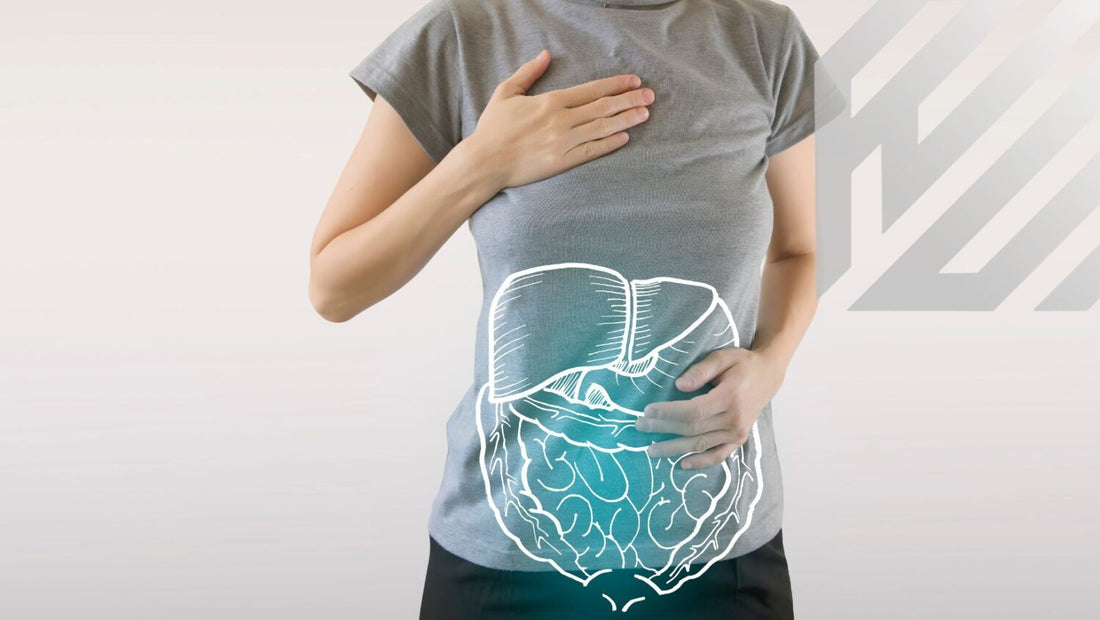 Illustratie van spijsverteringsstelsel bij een persoon met hand op buik