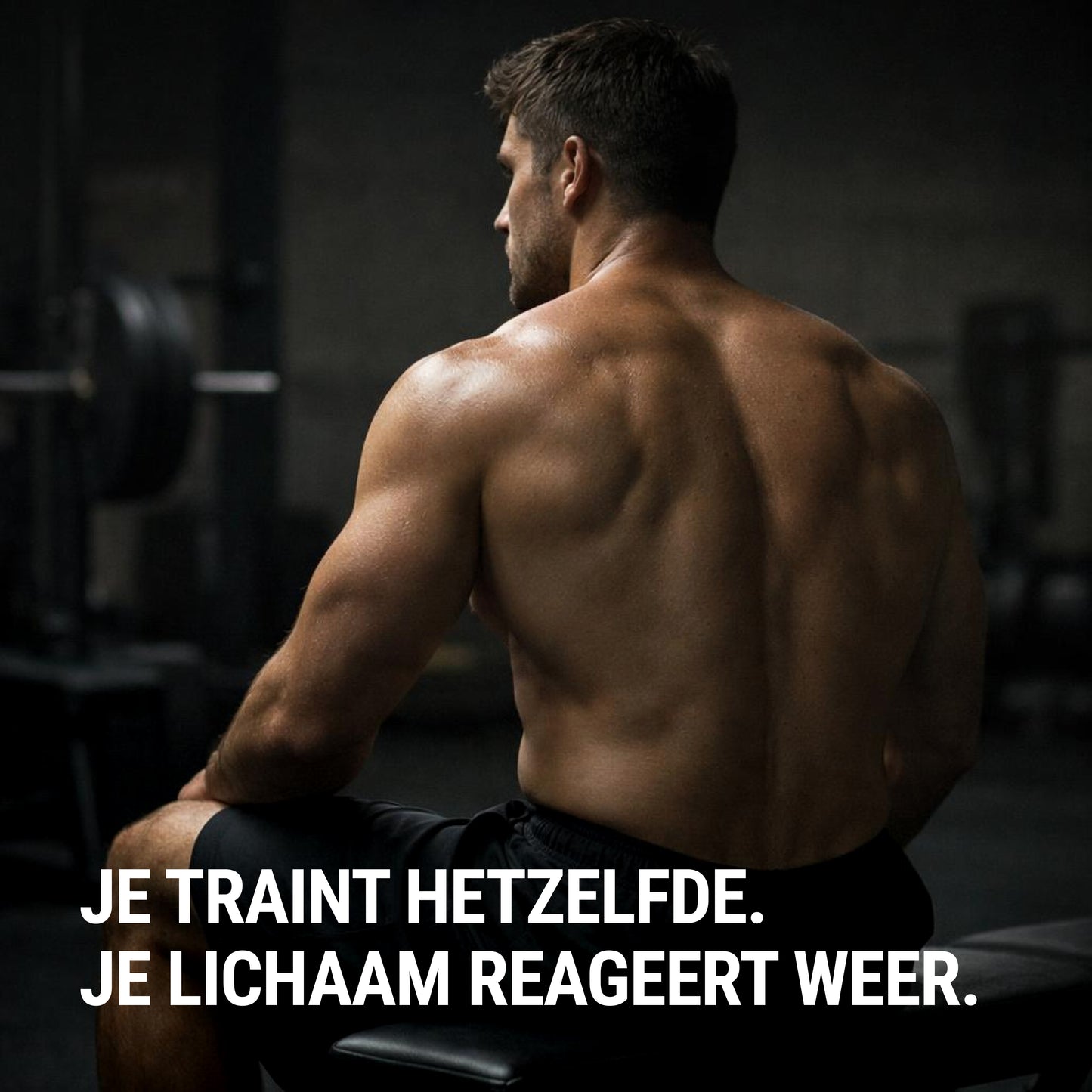 Laxobolin 2 + 1 GRATIS!