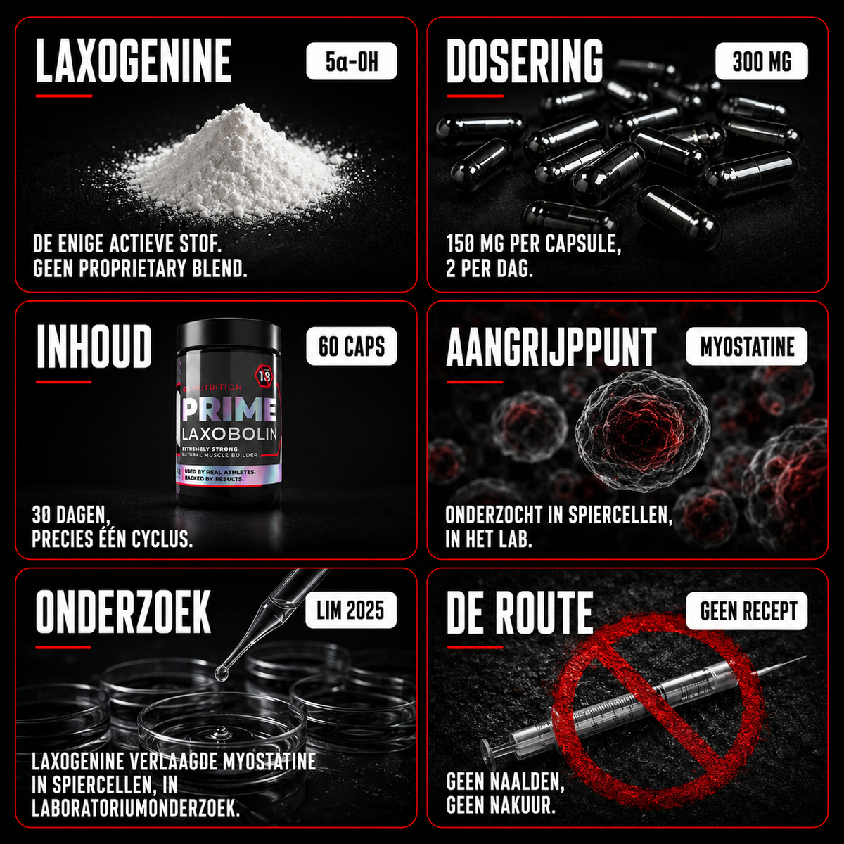 Prime Laxobolin — Natural Muscle Builder